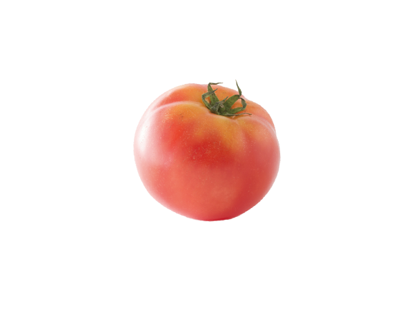 賀茂トマト